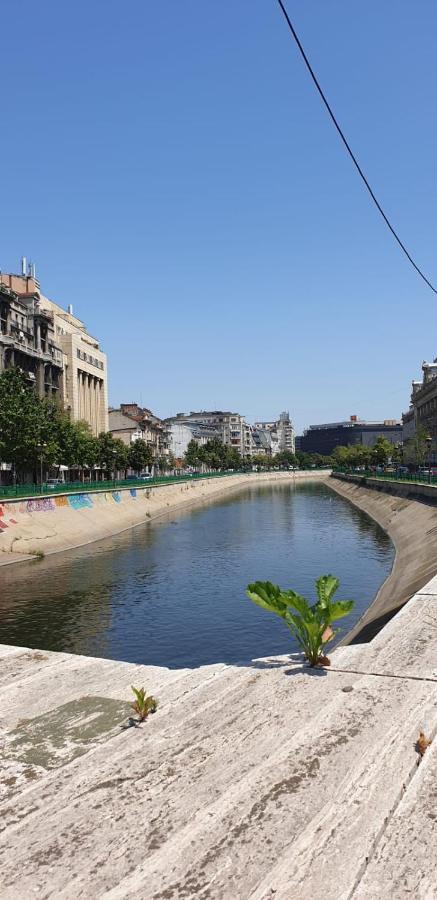 Mary Central Appartaments Bucureşti Ngoại thất bức ảnh